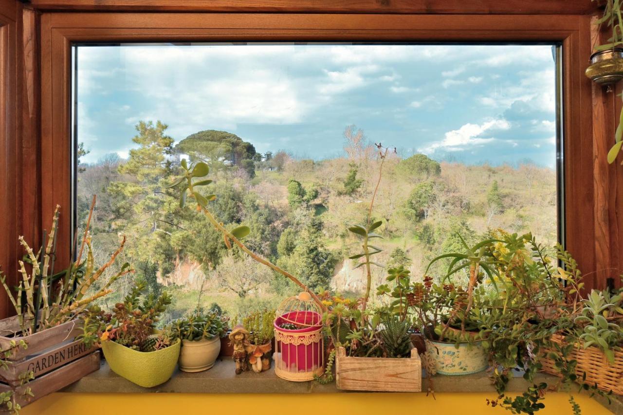 La Casetta Della Nonna Holiday home